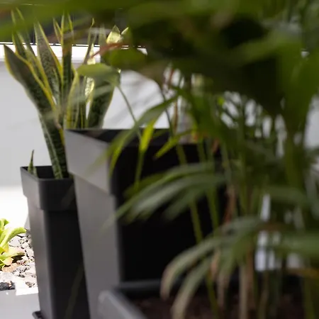 Home2book Stylish Pool & Terrace * Abades (Tenerife)