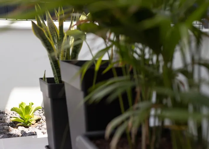 Home2book Stylish Pool & Terrace * Abades (Tenerife)